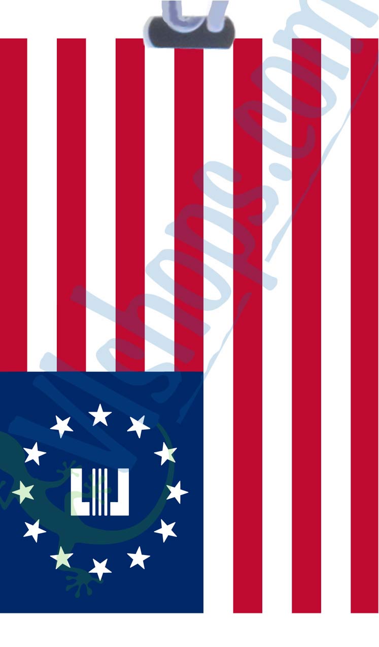 Video Games - Fallout - Enclave - Flags of Fallout (the Video Game) - Bag Tag