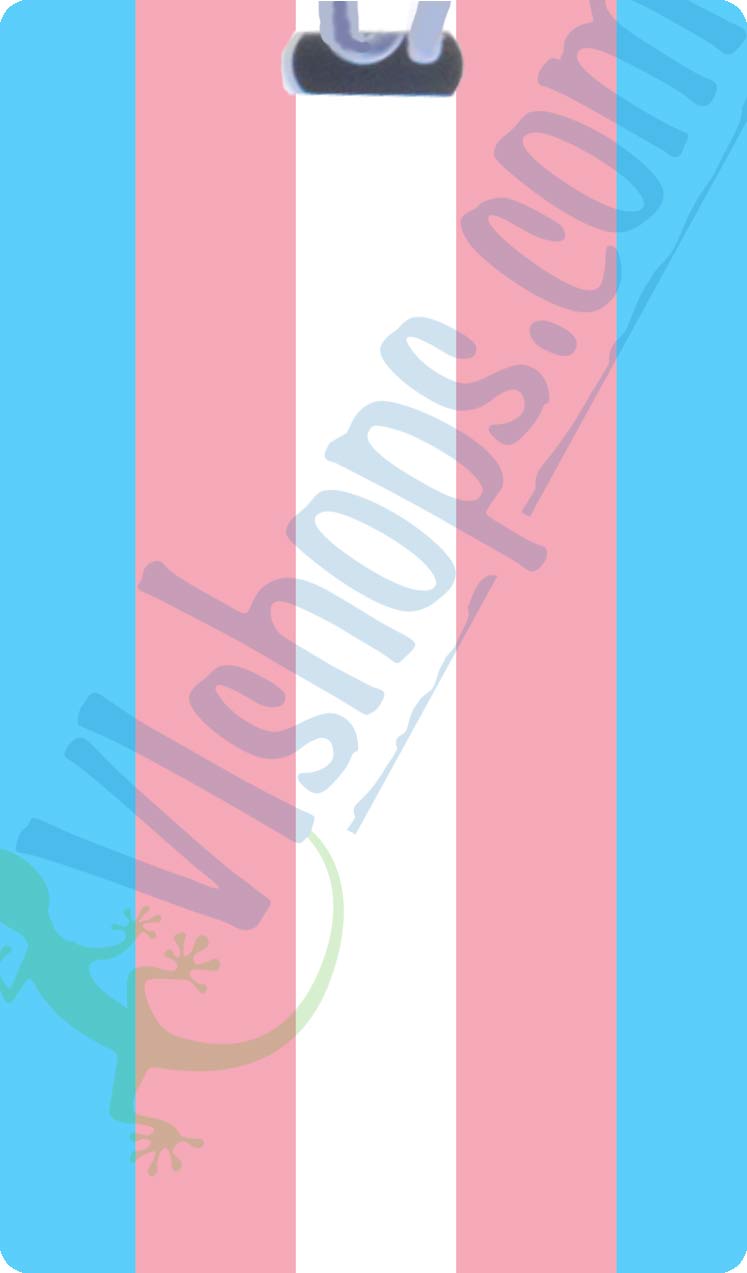 LGBTQ - Transgender - 1999 to present - Flags of the World - Bag Tag