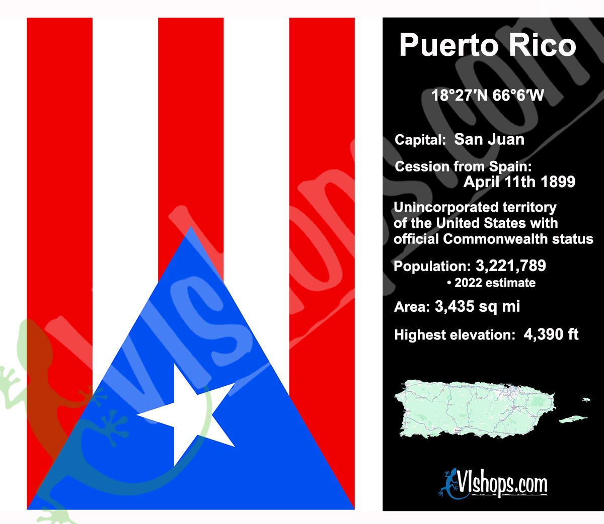 Puerto Rico Flag - 20oz Skinny Tumbler