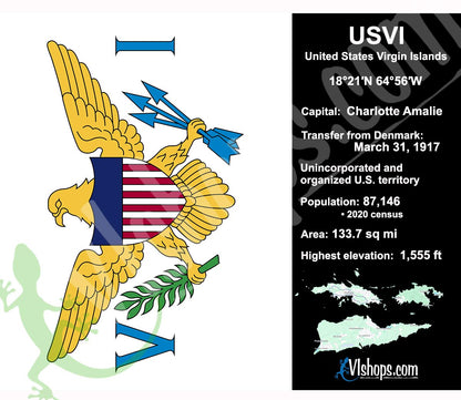 USVI (United States Virgin Islands)  Flag - 20oz Skinny Tumbler