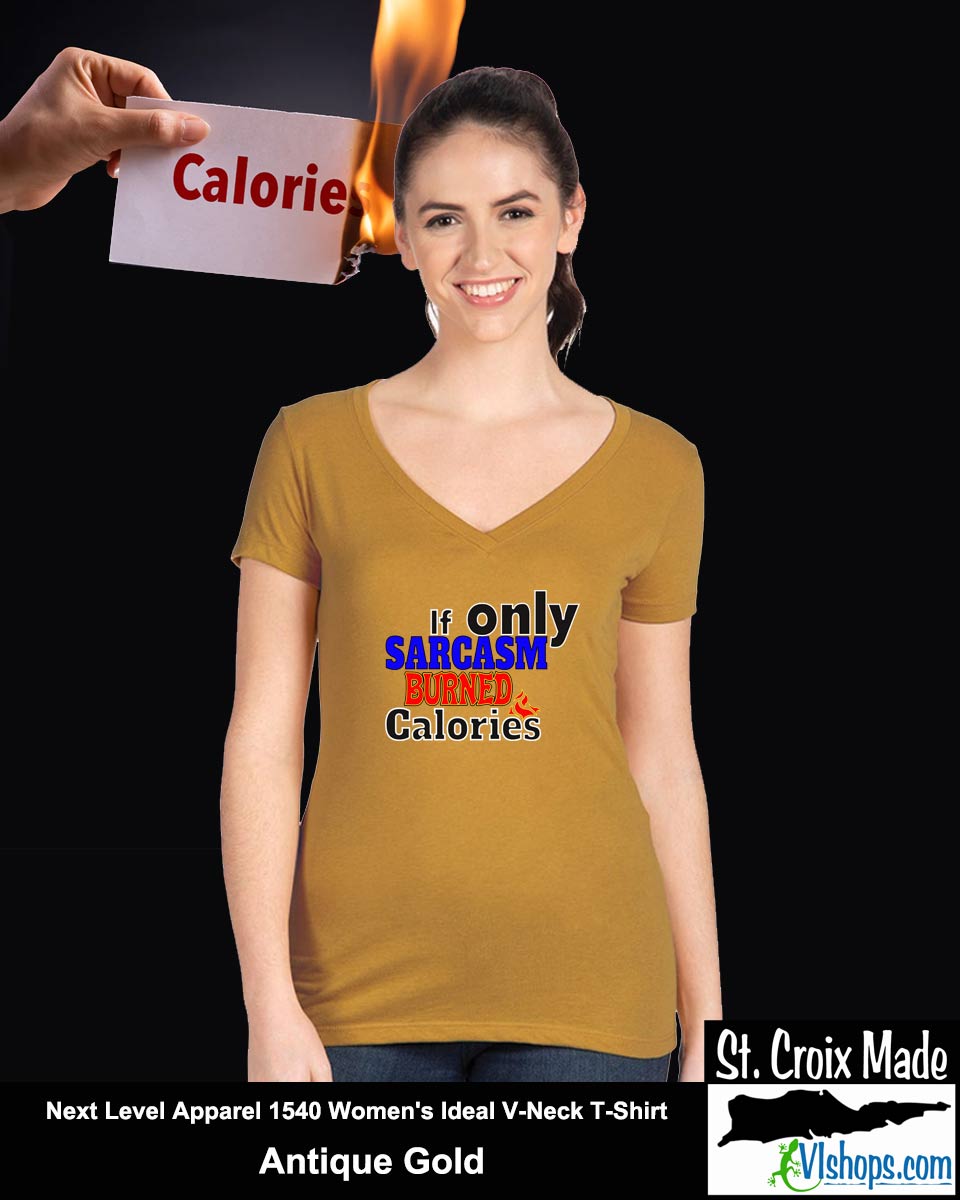 If only Sarcasm burned calories - Next Level Apparel 1540 Women's Ideal V-Neck T-Shirt