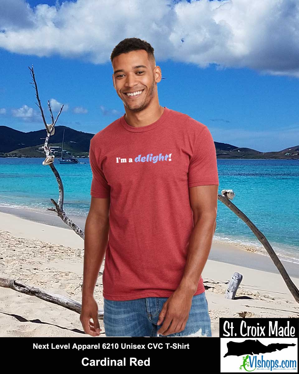 I'm a delight - Next Level Apparel 6210 Unisex CVC T-Shirt