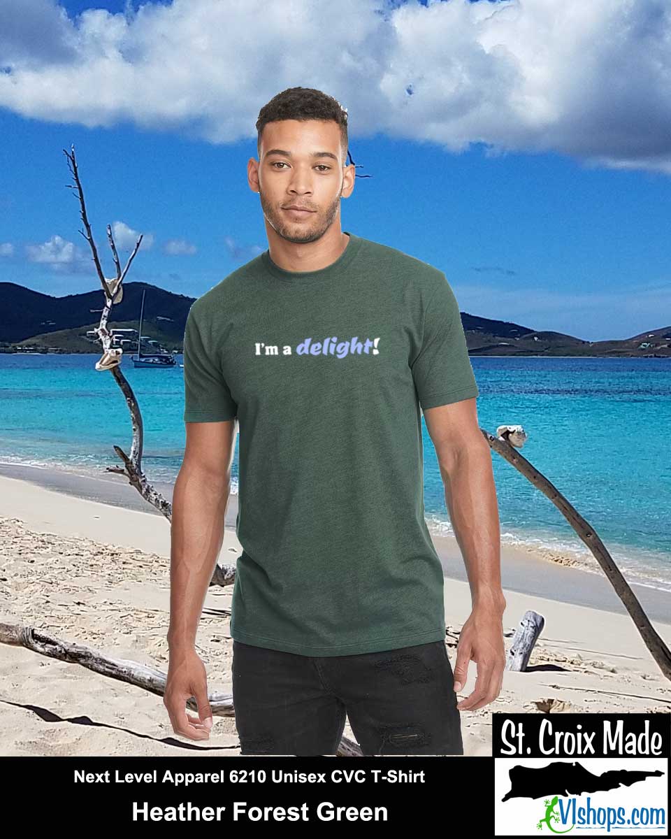 I'm a delight - Next Level Apparel 6210 Unisex CVC T-Shirt