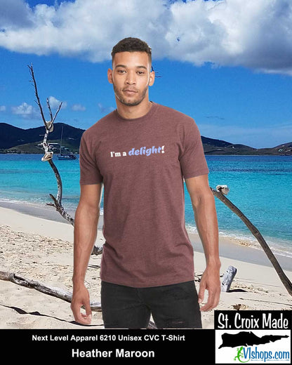 I'm a delight - Next Level Apparel 6210 Unisex CVC T-Shirt