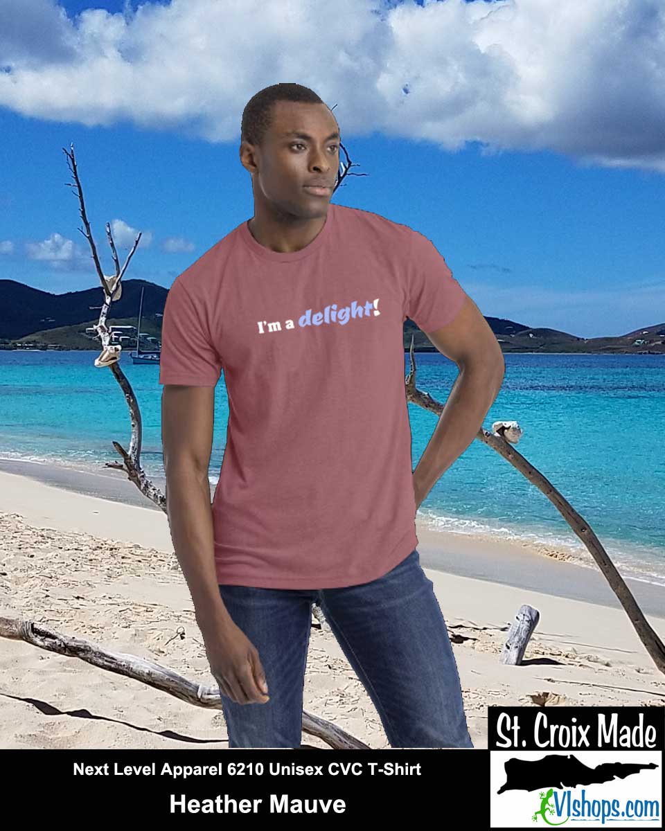 I'm a delight - Next Level Apparel 6210 Unisex CVC T-Shirt